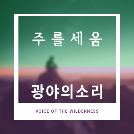 주를세움