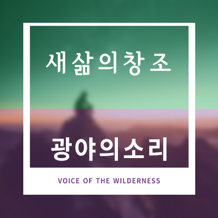 새삶의창조